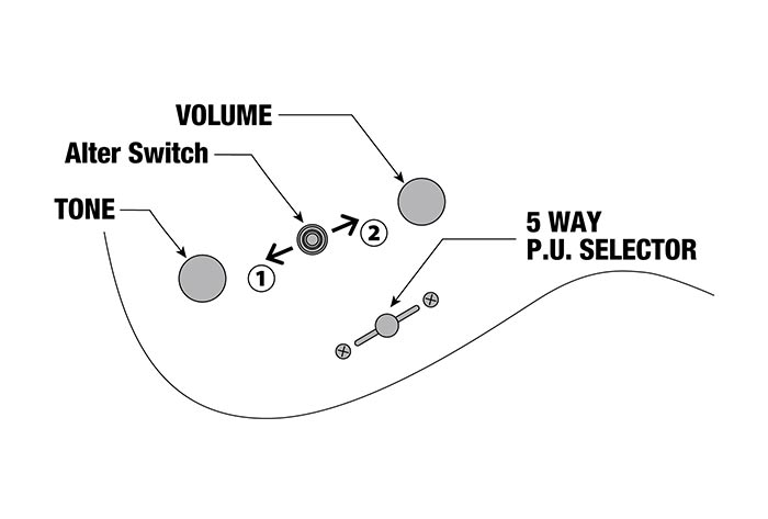 MGFM10's control diagram