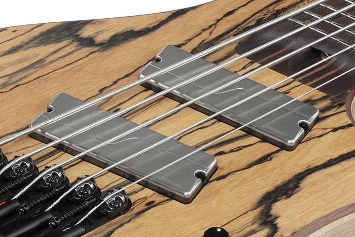 Fishman&reg; Fluence&trade; pickups