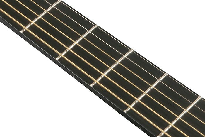 Macassar Ebony fretboard