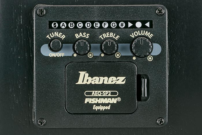 Ibanez AEQ-SP2 preamp w/Onboard tuner