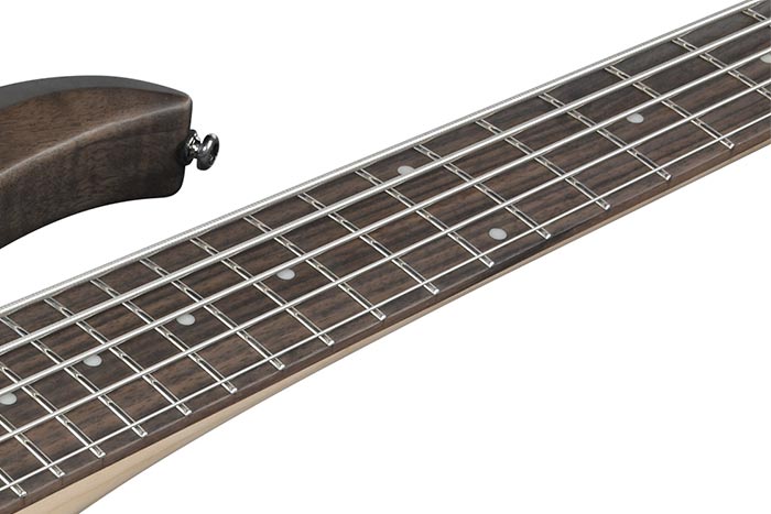 Rosewood fretboard