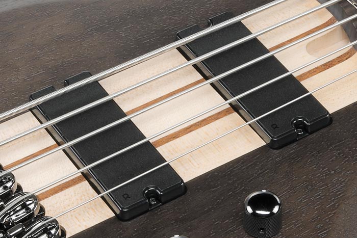&alpha;1 pickups