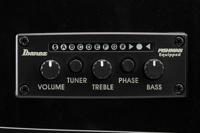 Ibanez AEQ210TF preamp w/Onboard tuner