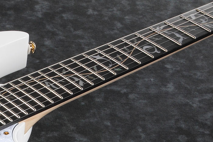 Ebony fretboard