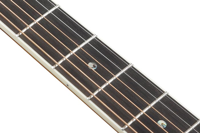 Ebony fretboard