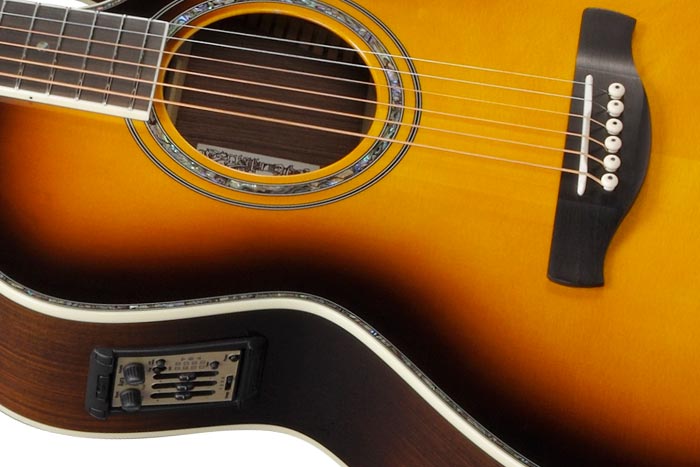 Fishman&reg; Acoustic Matrix&trade; pickup