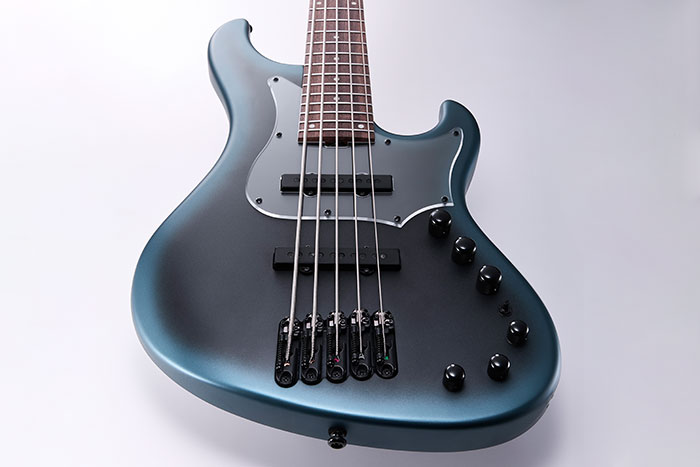 Alder body