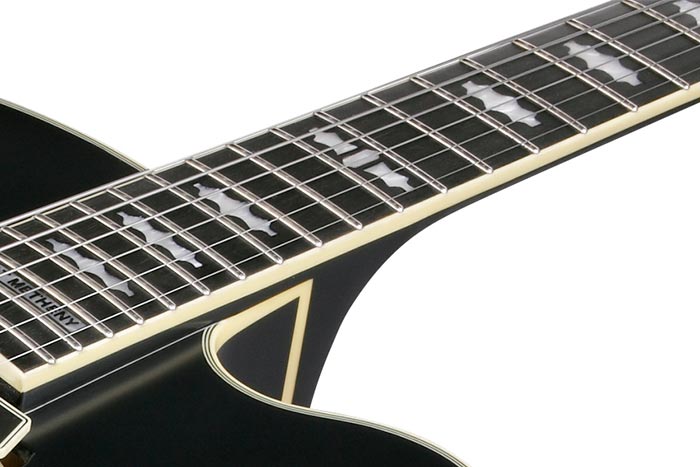 Ebony fretboard