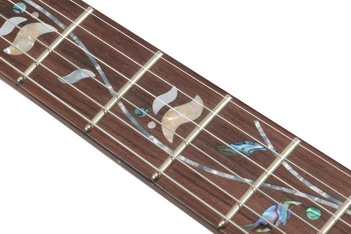 Rosewood fretboard