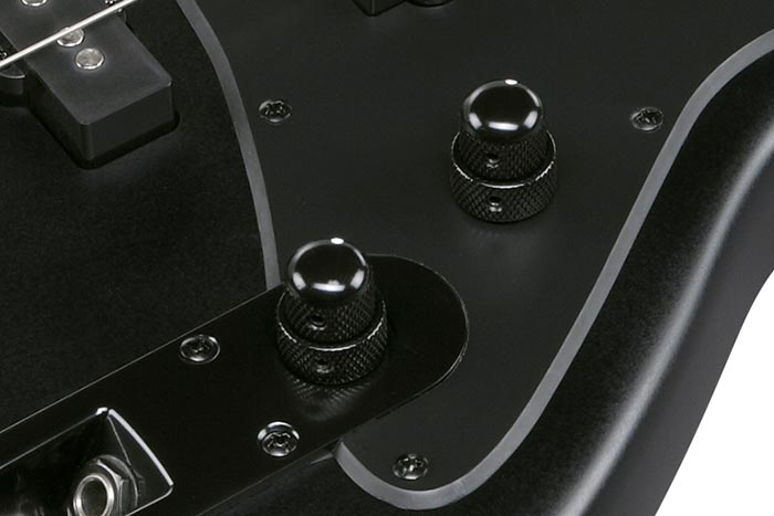 Ibanez Custom Electronics 2-band EQ