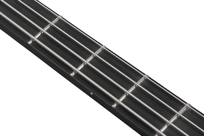 Ebonol fretboard