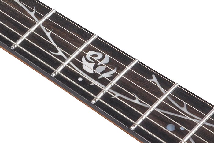Ebony fretboard
