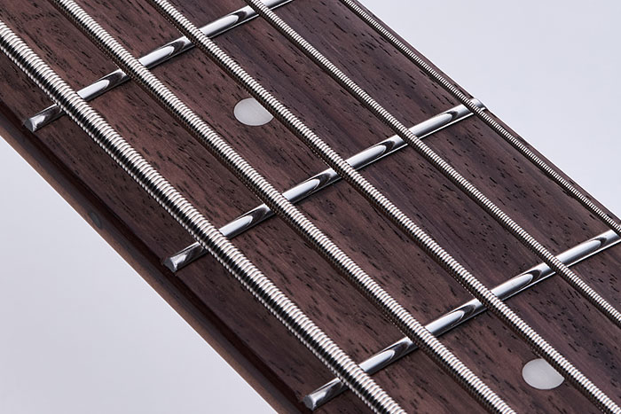 Rosewood fretboard
