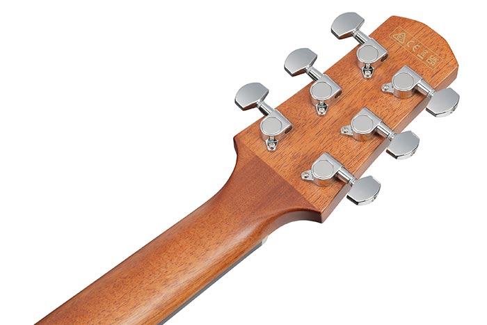 Back of the AAD51LCE-DVS's headstock