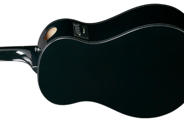 Back of the AAM100E-BK's body