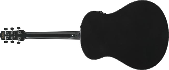 Entire back of the  AAM100E-BK