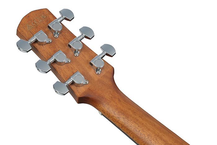 Back of the AAM100E-NT's headstock