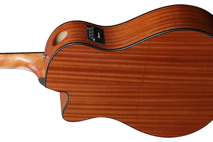 Back of the AAM50CE-SBO's body