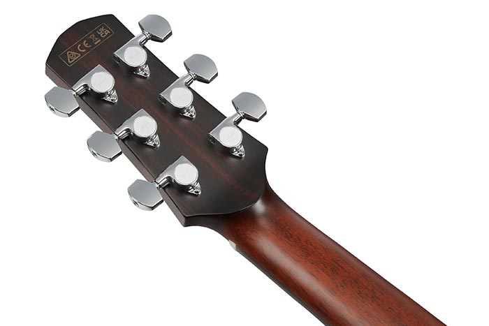 Back of the AAM780E-NT's headstock