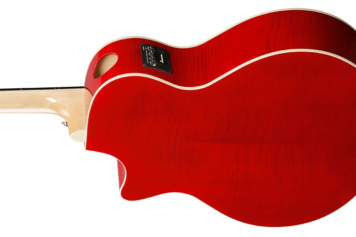 Back of the AE170-NTR's body