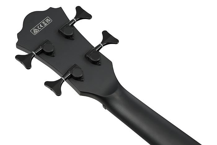 Back of the AEGB420-BOT's headstock