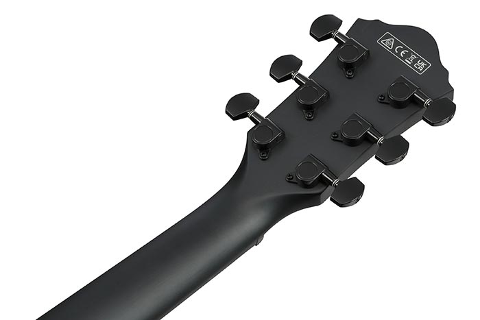 Back of the AEWC621L-BOT's headstock