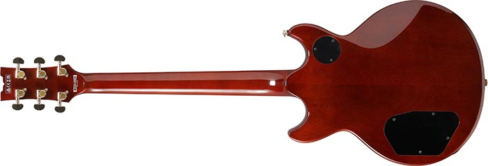Entire back of the  AR420-BMG