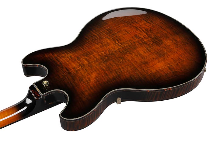 Back of the ASH300-TBC's body