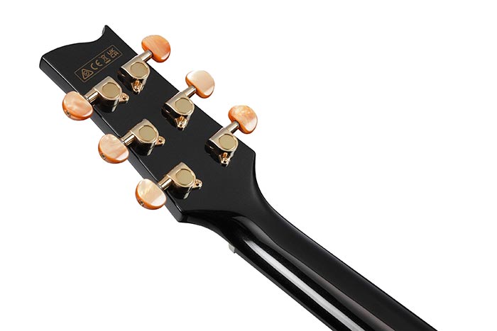 Back of the EP5-BP's headstock
