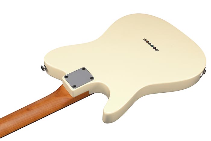 Back of the FLATV2-MSN's body