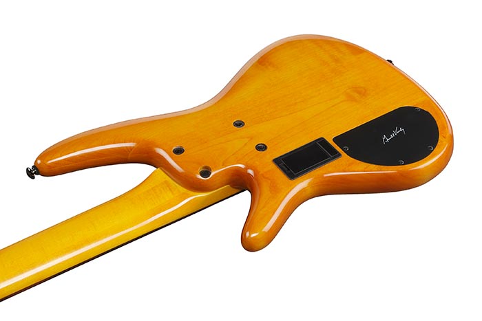Back of the GVB36-AM's body