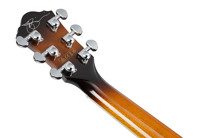 Back of the JSA20-VB's headstock