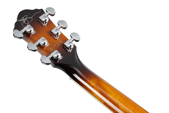 Back of the JSA5-VB's headstock