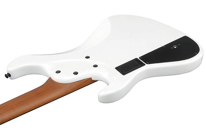 Back of the MDM1005-PW's body