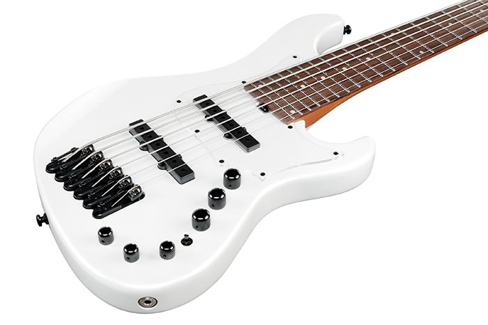 Top of the MDM1006-PW's body