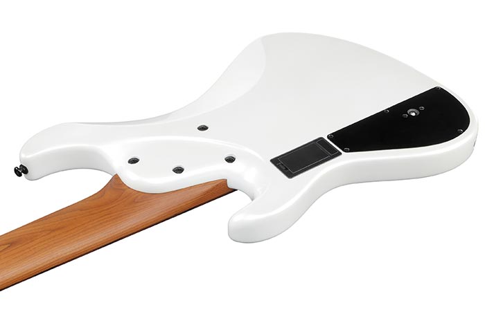 Back of the MDM1006-PW's body