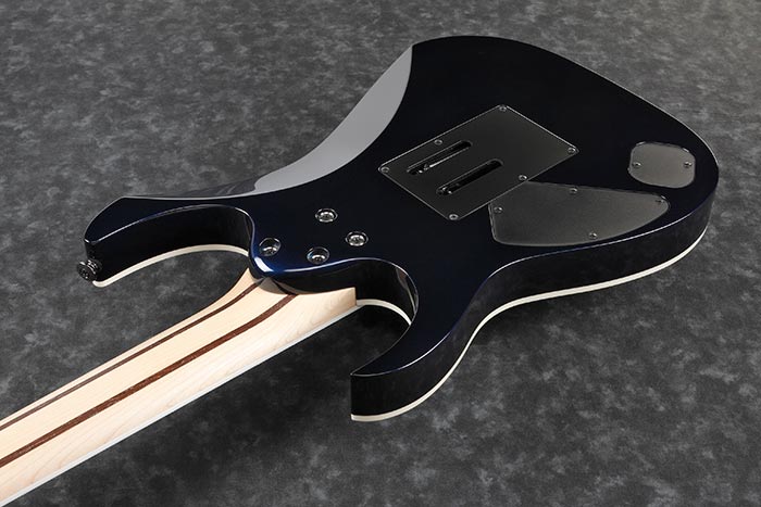 Back of the RG2027RXL-DTB's body