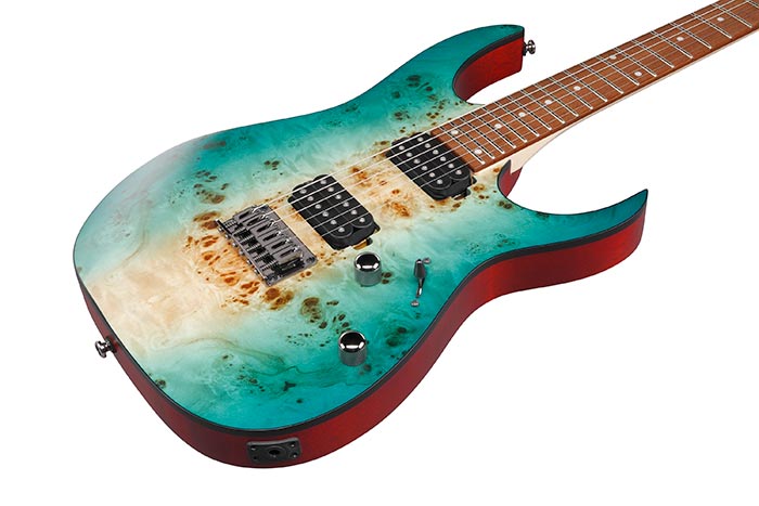 Top of the RG421PB-CHF's body