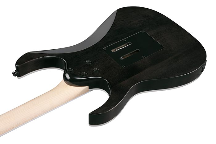 Back of the RG450QMB-TGB's body
