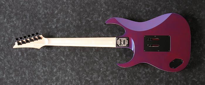 Entire back of the RG550-PN