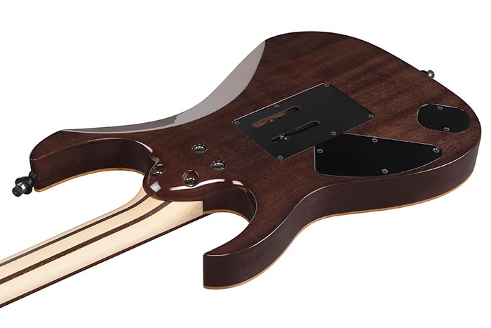 Back of the RG8620AH-BQZ's body