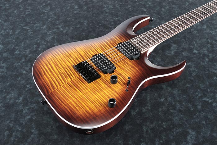 Top of the RGA42FM-DEF's body