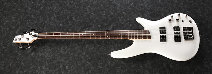 Entire top of the  SR300E-PW