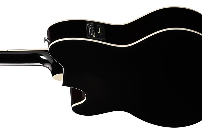 Back of the TCY10PA-CBS's body