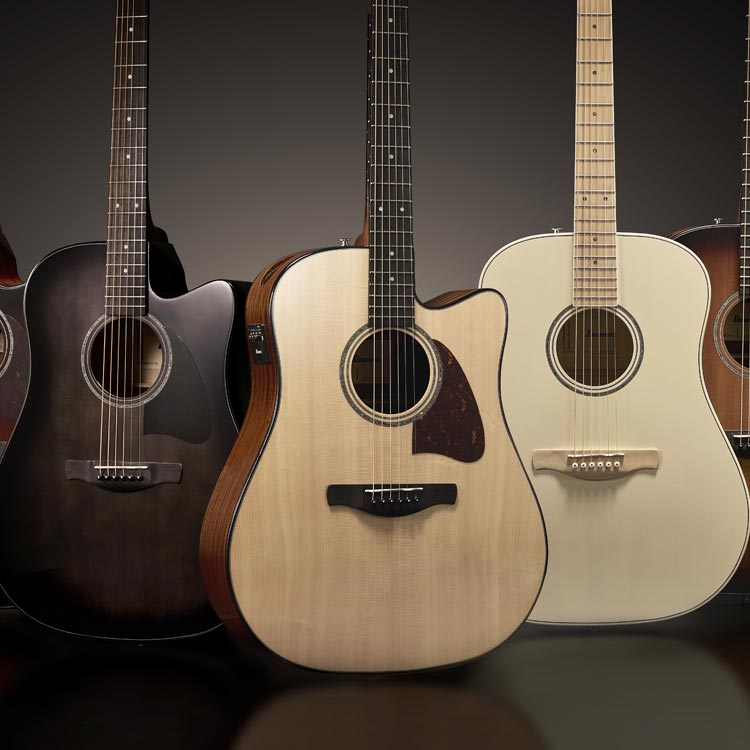 ACOUSTIC GUITARS