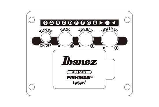 AE3007FMH's preamp diagram